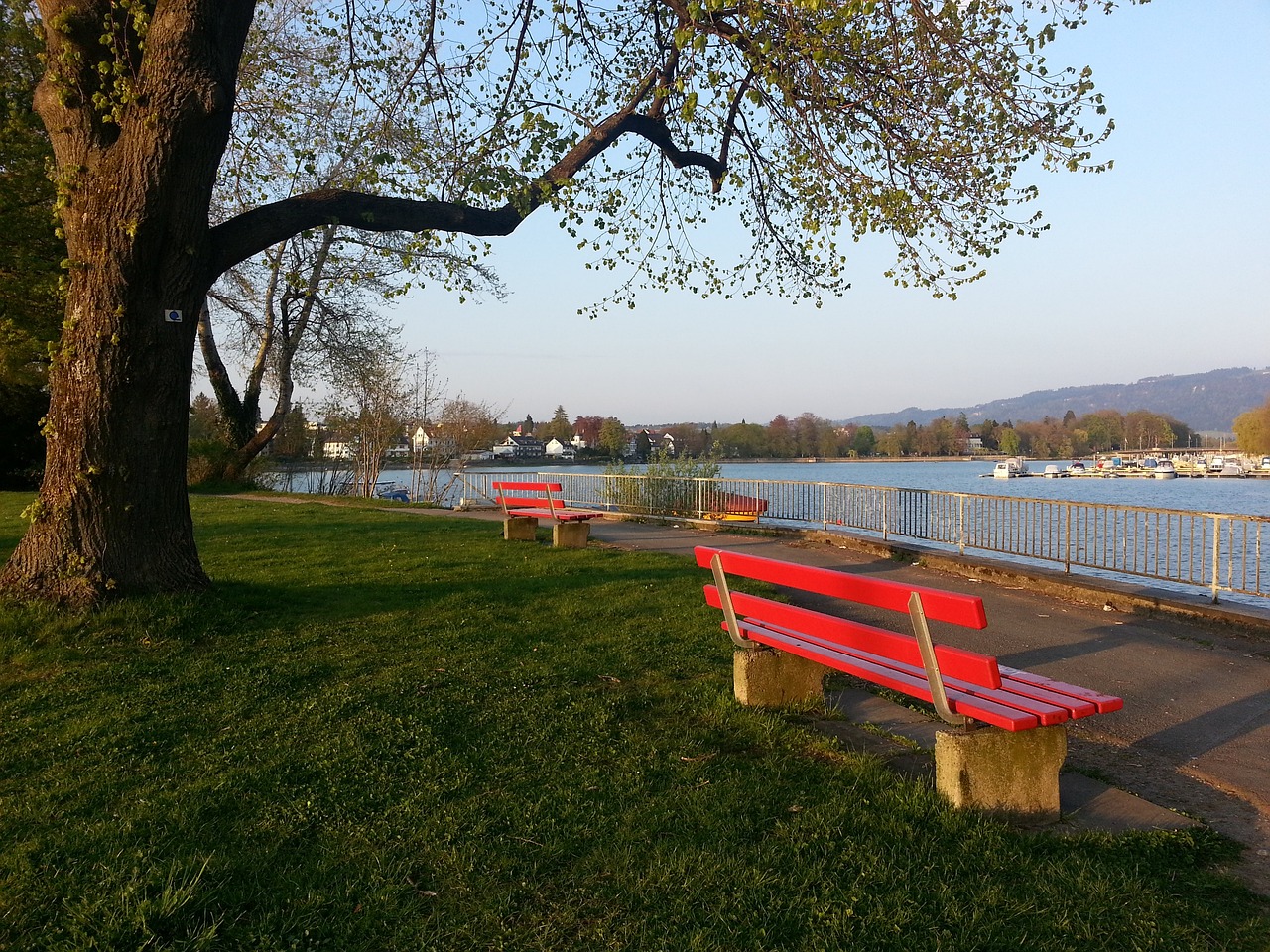 的虚拟马拉 的虚拟马拉