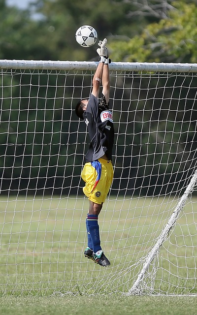 球员的体能 球员的体能